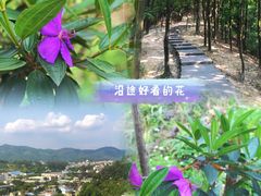 -火炉山森林公园