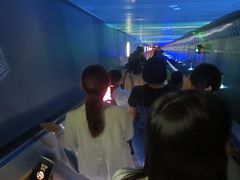 -白鹤梁水下博物馆