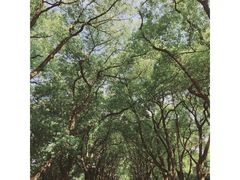 -西郊宾馆·1921餐厅