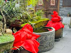 -青城甲(青城山店)