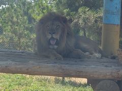 -西霞口神雕山野生动物世界
