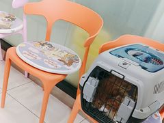 -纳吉亚猫专科动物医院博雅分院