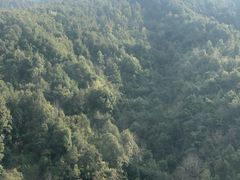-腾冲云峰山