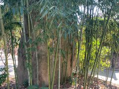 景点-南汇桃花村