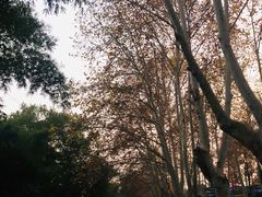 -东湖磨山景区