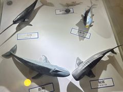 -南京科技馆