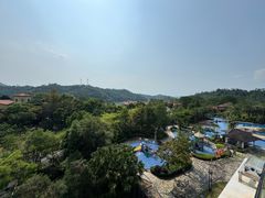 -河源万绿湖美思威尔顿酒店