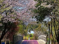 -尚贤河湿地