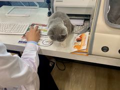 -pd派德宠物中心医院24H急重症·眼科中心·血液透析中心(嵩山北路店)