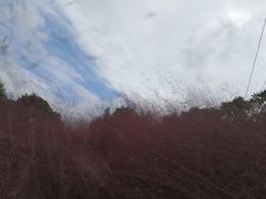 -牛岗山公园