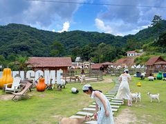 -龙岩森林水乡景区