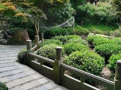 -十八棵（老龙井）御茶园(老龙井店)