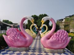 -百万葵园