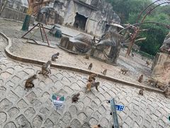 -哈尔滨北方森林动物园