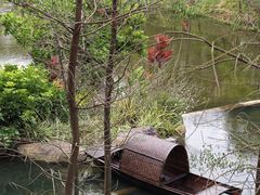 -云溪植物园