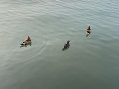 -西湖天地