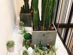 -大树餐厅(红旗街万达店)