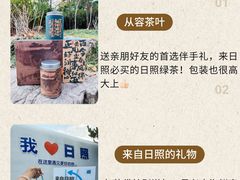 -日照海滨国家森林公园