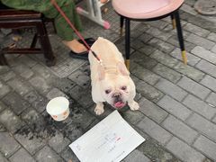 -竹子咖啡bamboo coffee