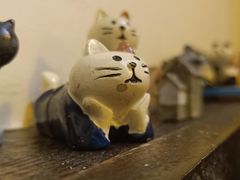 -金龙咖喱
