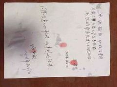 盛京一禾-盛京一禾