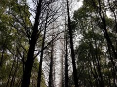 -同里国家湿地公园