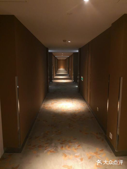 中航泊悦酒店·云庭咖啡厅(虹桥机场T2店)图片