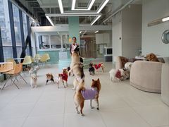 -怪兽屋·羊驼·猫咖·狗咖(俊华广场店)