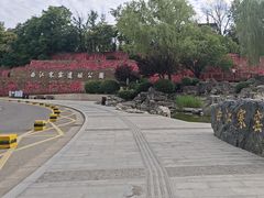 -西安曲江寒窑遗址公园