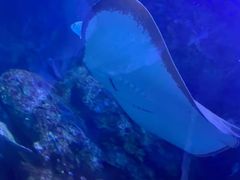 -西安曲江海洋极地公园