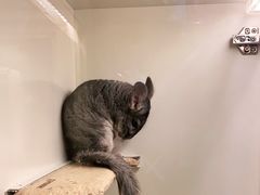 -龙猫仔乐园(惠福东路店)