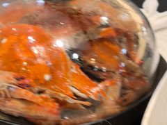 -半岛听涛蒸汽海鲜自助(K11店)