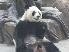 -宁波野生动物园