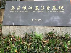 -马王堆汉墓遗址