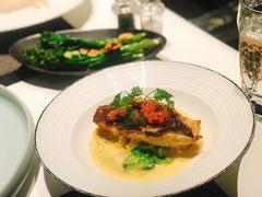 龙胆石斑鱼-atta bj(国贸商城店)