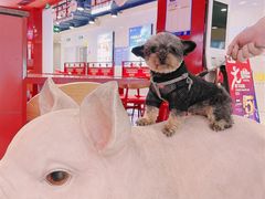 -猪角·闽南猪脚饭(上梅林店)