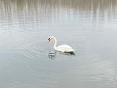-吉林大学(前卫南校区)