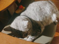 -H立方实景剧情密室(天河旗舰店)