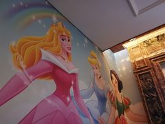 -康悦印象·美容·茶艺·国际芳香疗法(海悦店)