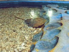 -青岛嘉年华主题乐园