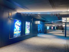 -奥斯卡升龙国际影城(RealD Cinema)