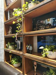 -T.1 hair salon烫染接发