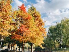 -西山漾湿地公园