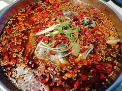 -味之绝热血美蛙鱼火锅(中坝店)