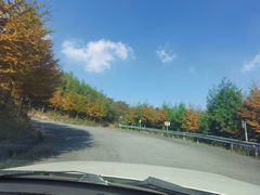 -东白山