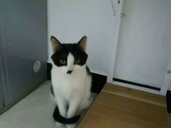 -北京恒爱动物医院(清景园分院)