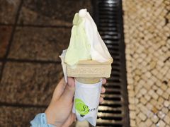 -柠檬车露(卖草地店)