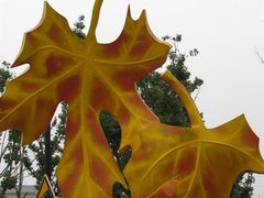 -白塘生态植物园