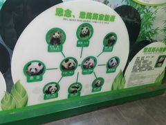 -灵玲国际马戏城