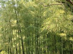 -黄公望隐居地